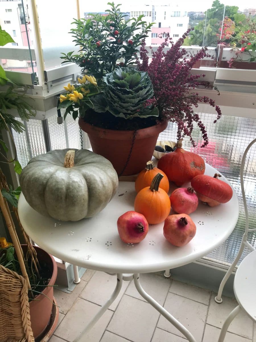 Prodej bytu 3+kk 77 m², Volutová, Praha, Praha Prodej bytu 3+kk 77 m², Volutová, Praha, Praha