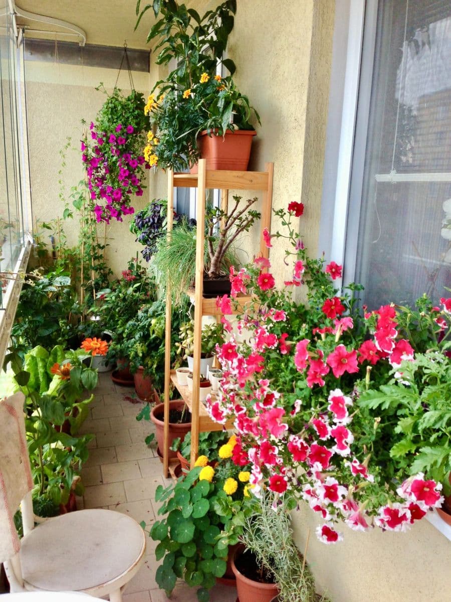 Prodej bytu 3+kk 77 m², Volutová, Praha, Praha Prodej bytu 3+kk 77 m², Volutová, Praha, Praha