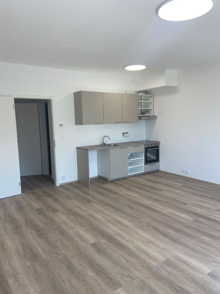 Pronájem bytu 1+kk 41 m², Škrochova, Brno, Jihomoravský kraj Pronájem bytu 1+kk 41 m², Škrochova, Brno, Jihomoravský kraj