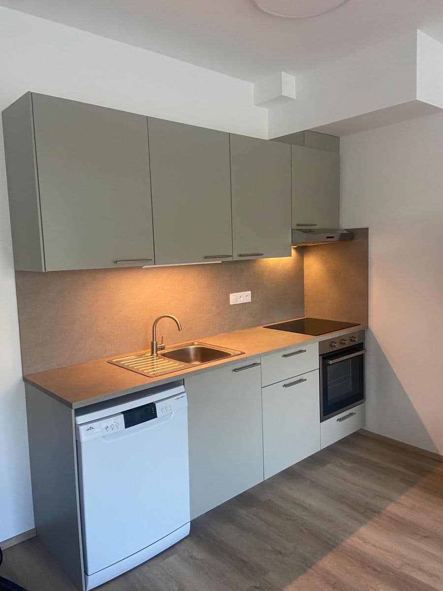 Pronájem bytu 1+kk 41 m², Škrochova, Brno, Jihomoravský kraj Pronájem bytu 1+kk 41 m², Škrochova, Brno, Jihomoravský kraj