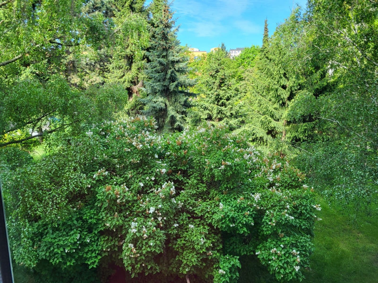 Pronájem bytu 2+1 53 m², Šumperská, Praha, Praha Pronájem bytu 2+1 53 m², Šumperská, Praha, Praha