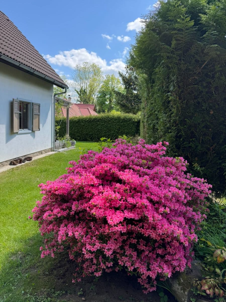 Prodej chaty, chalupy 72 m², pozemek 831 m², Borotín, Jihočeský kraj Prodej chaty, chalupy 72 m², pozemek 831 m², Borotín, Jihočeský kraj