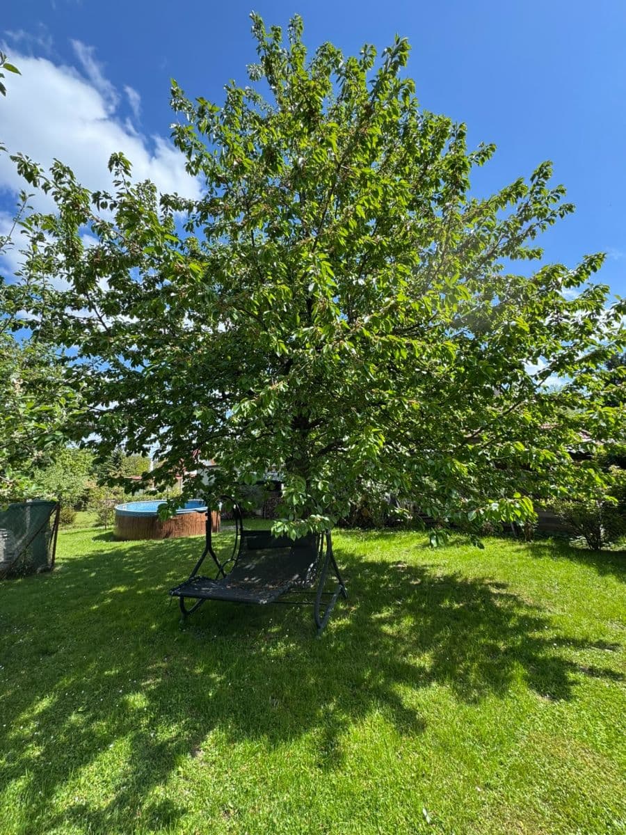 Prodej chaty, chalupy 72 m², pozemek 831 m², Borotín, Jihočeský kraj Prodej chaty, chalupy 72 m², pozemek 831 m², Borotín, Jihočeský kraj