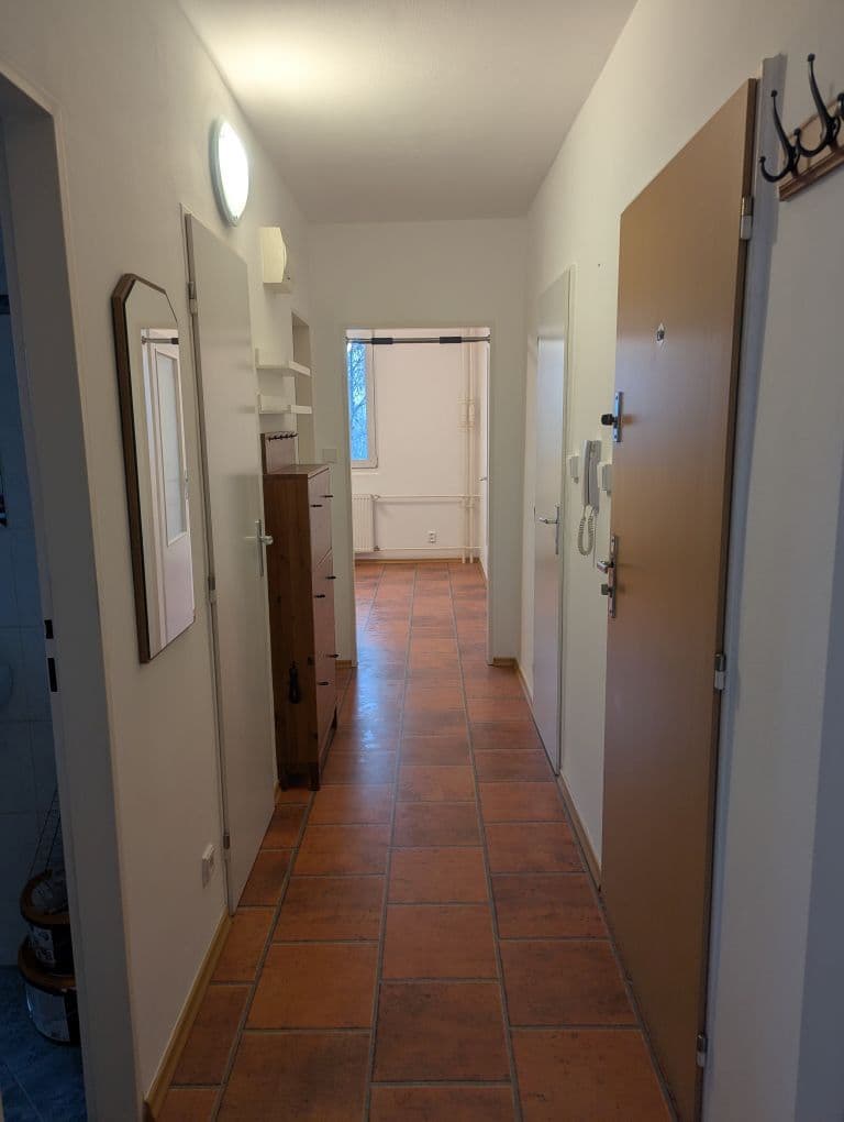 Pronájem bytu 2+1 51 m², Křídlovická, Brno, Jihomoravský kraj Pronájem bytu 2+1 51 m², Křídlovická, Brno, Jihomoravský kraj