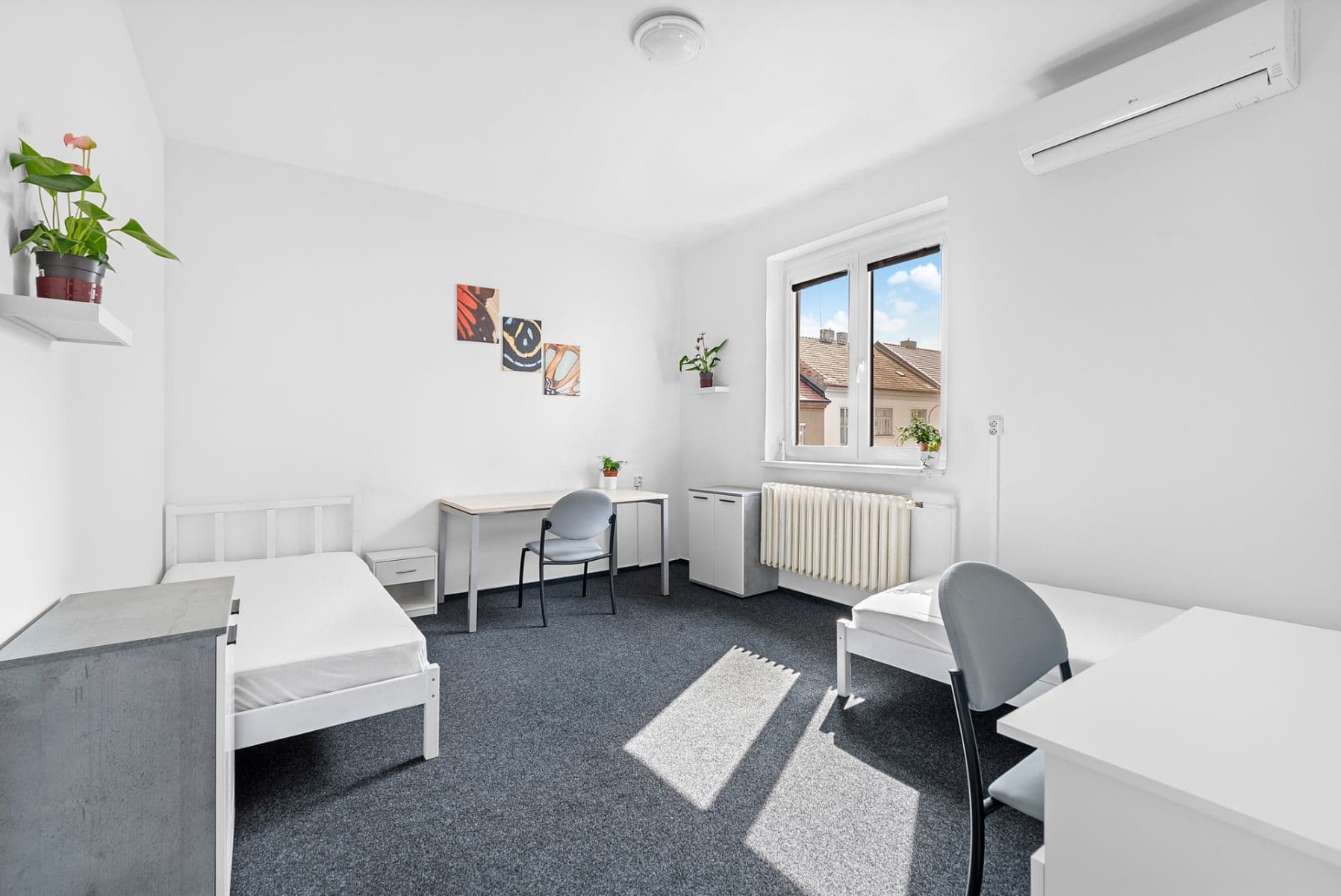 Pronájem bytu 18 m², Jelínkova, Brno, Jihomoravský kraj Pronájem bytu 18 m², Jelínkova, Brno, Jihomoravský kraj