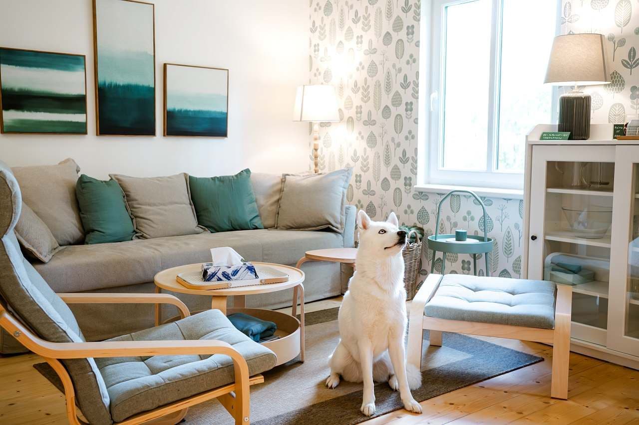 Pronájem chaty, chalupy, Křečovice, Středočeský kraj Pronájem chaty, chalupy, Křečovice, Středočeský kraj