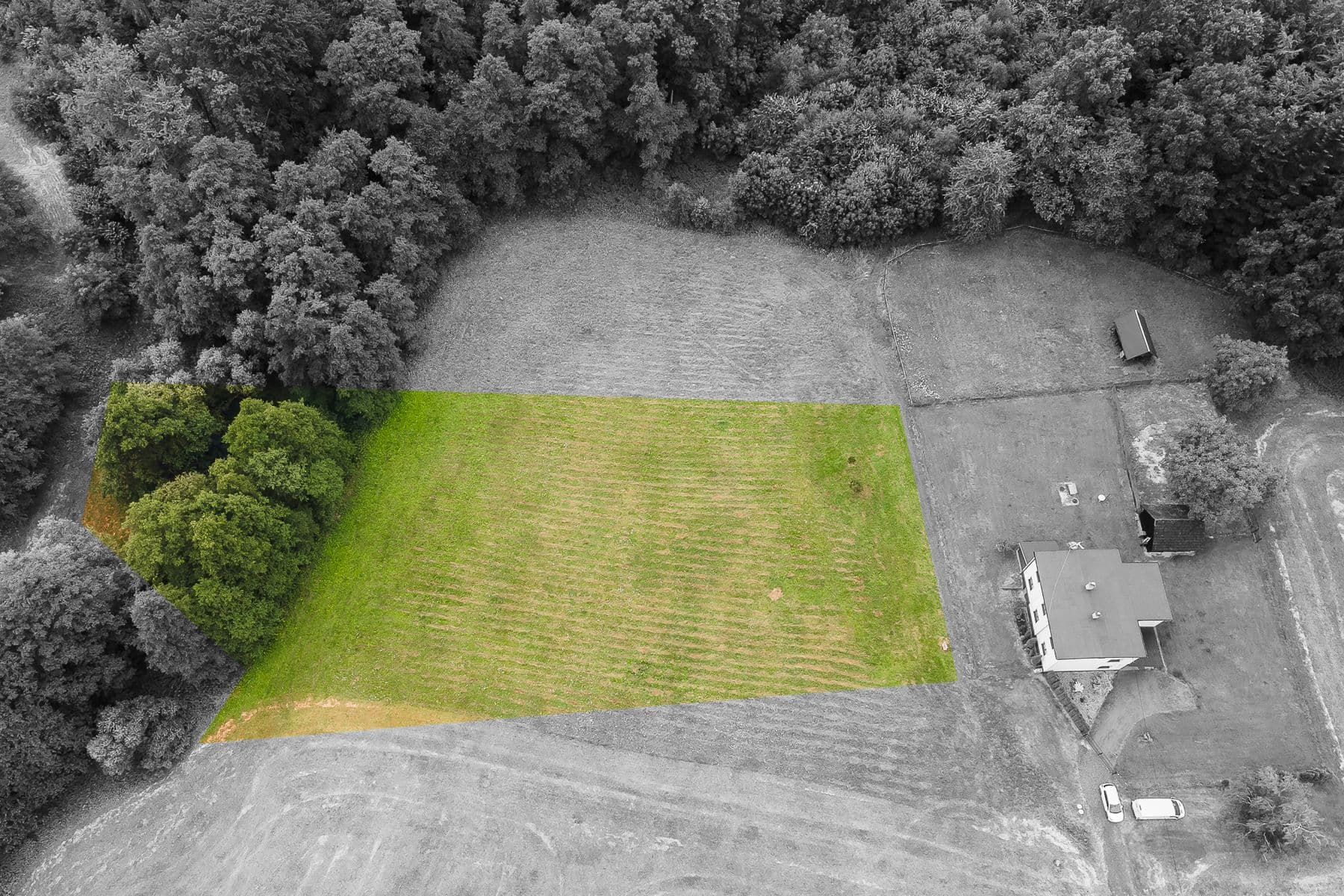 Prodej pozemku 5.630 m², Václavovice, Václavovice, Moravskoslezský kraj Prodej pozemku 5.630 m², Václavovice, Václavovice, Moravskoslezský kraj