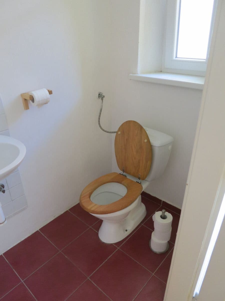 Pronájem bytu 3+1 108 m², Botanická, Brno, Jihomoravský kraj Pronájem bytu 3+1 108 m², Botanická, Brno, Jihomoravský kraj