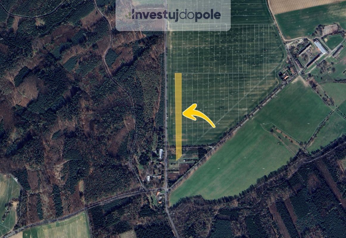 Prodej pozemku 3.282 m², Kostelec nad Černými lesy, Středočeský kraj Prodej pozemku 3.282 m², Kostelec nad Černými lesy, Středočeský kraj