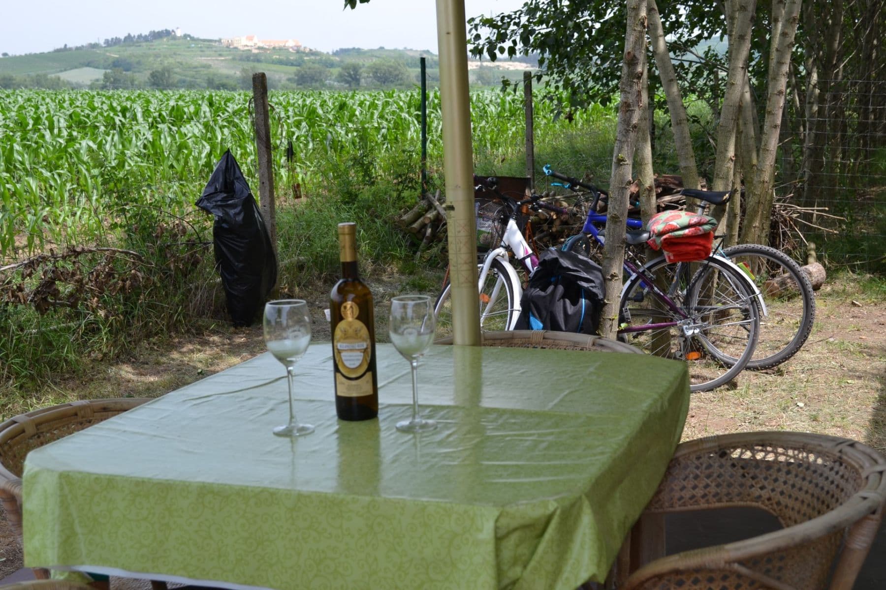 Prodej chaty, chalupy 30 m², pozemek 200 m², Přítluky, Jihomoravský kraj Prodej chaty, chalupy 30 m², pozemek 200 m², Přítluky, Jihomoravský kraj