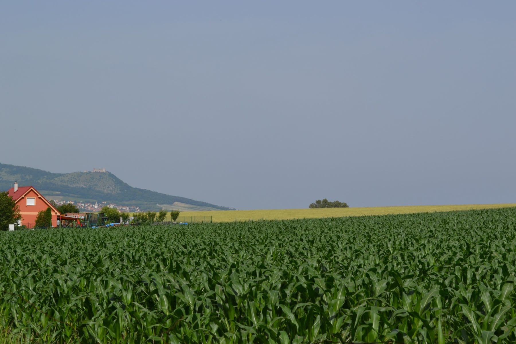 Prodej chaty, chalupy 30 m², pozemek 200 m², Přítluky, Jihomoravský kraj Prodej chaty, chalupy 30 m², pozemek 200 m², Přítluky, Jihomoravský kraj