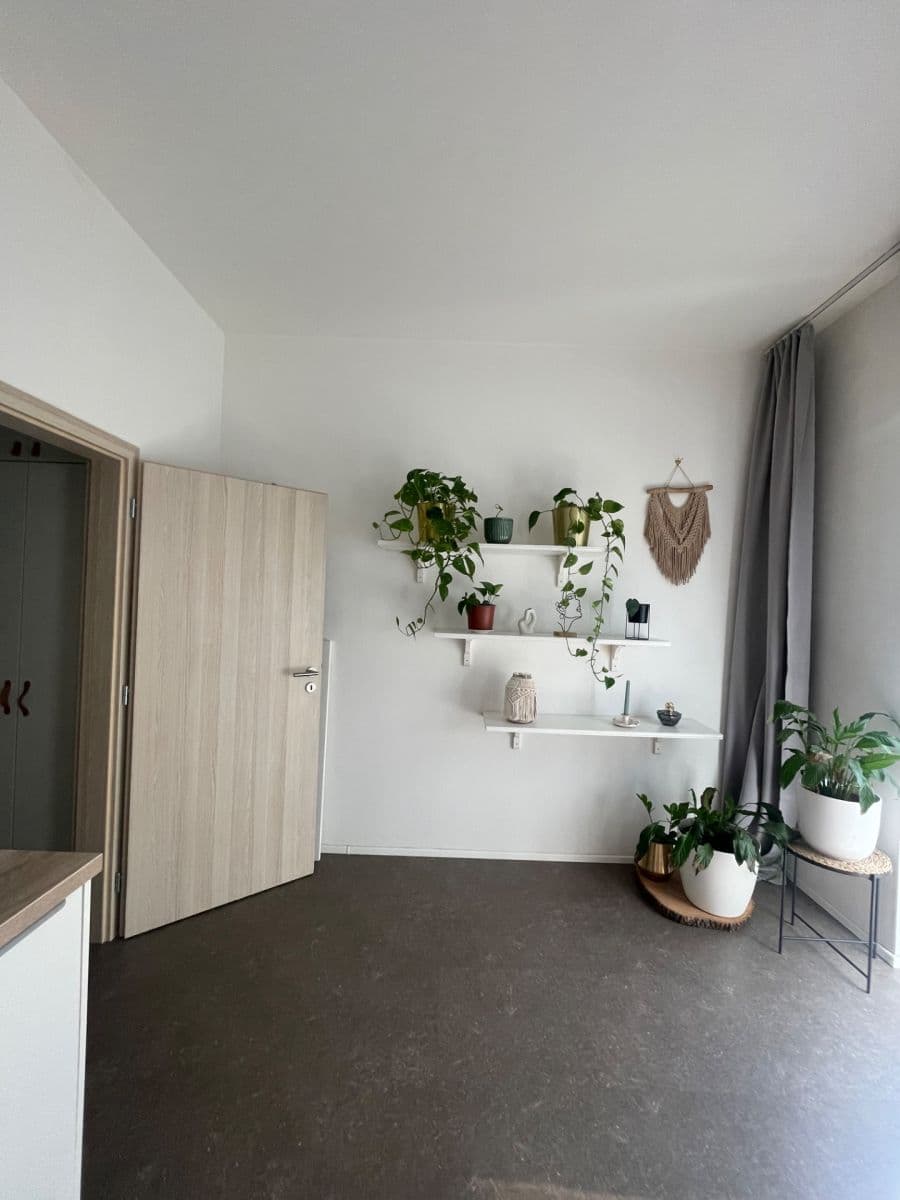 Pronájem bytu 1+kk 34 m², Eduarda Hamburgera, Olomouc, Olomoucký kraj Pronájem bytu 1+kk 34 m², Eduarda Hamburgera, Olomouc, Olomoucký kraj