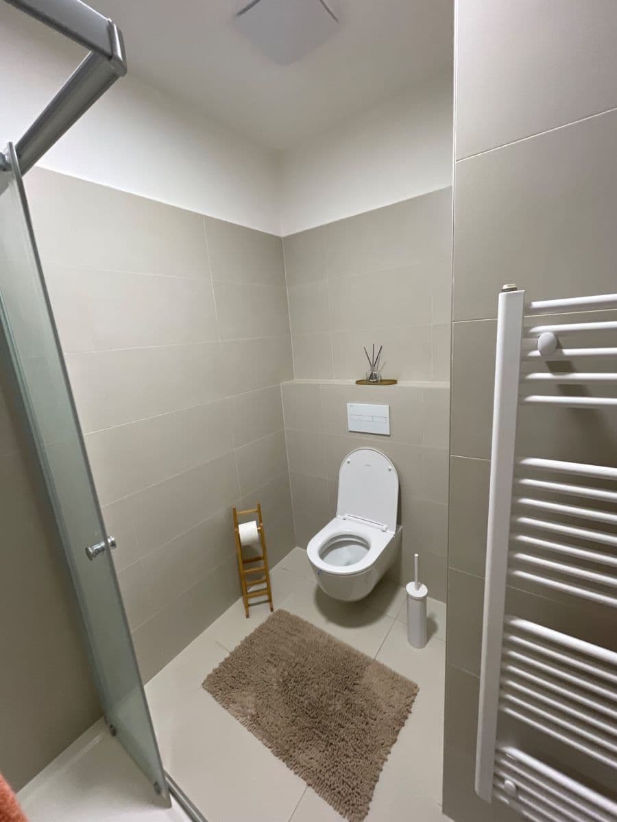 Pronájem bytu 1+kk 34 m², Eduarda Hamburgera, Olomouc, Olomoucký kraj Pronájem bytu 1+kk 34 m², Eduarda Hamburgera, Olomouc, Olomoucký kraj