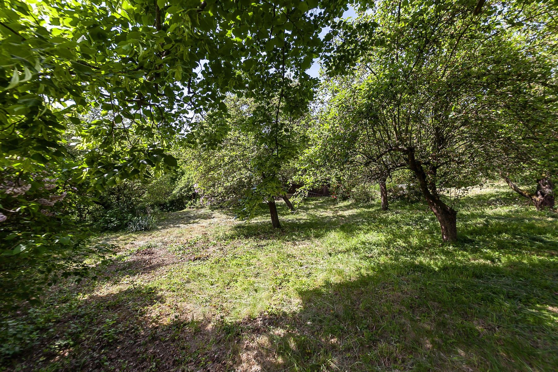 Prodej pozemku 1.552 m², Na Vinicích, Davle, Středočeský kraj Prodej pozemku 1.552 m², Na Vinicích, Davle, Středočeský kraj