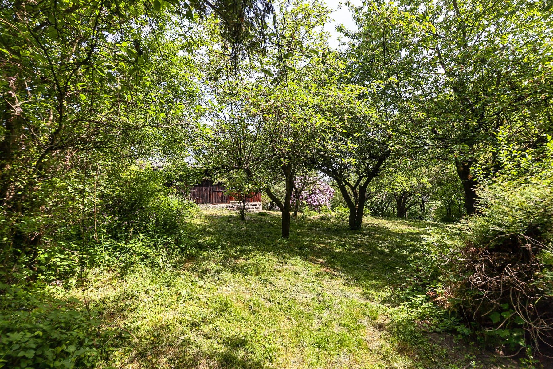 Prodej pozemku 1.552 m², Na Vinicích, Davle, Středočeský kraj Prodej pozemku 1.552 m², Na Vinicích, Davle, Středočeský kraj