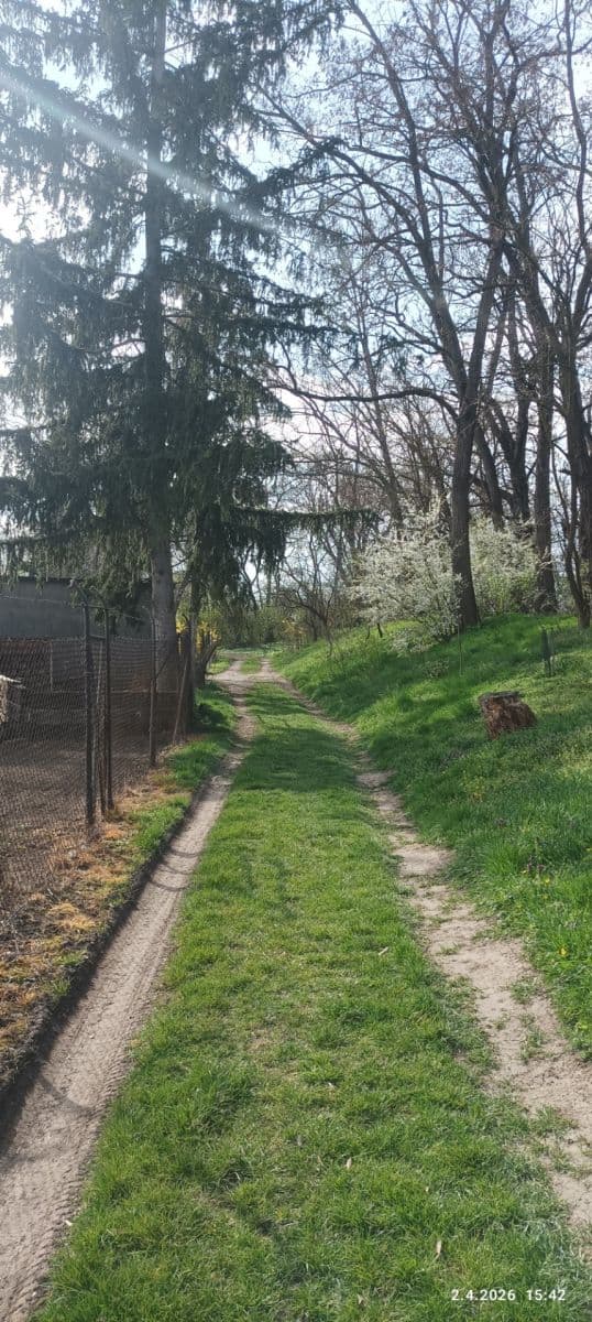 Pronájem pozemku 420 m², Sokolnice, Jihomoravský kraj Pronájem pozemku 420 m², Sokolnice, Jihomoravský kraj