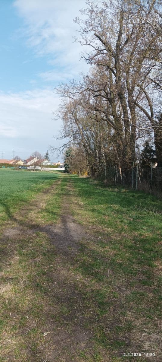 Pronájem pozemku 420 m², Sokolnice, Jihomoravský kraj Pronájem pozemku 420 m², Sokolnice, Jihomoravský kraj