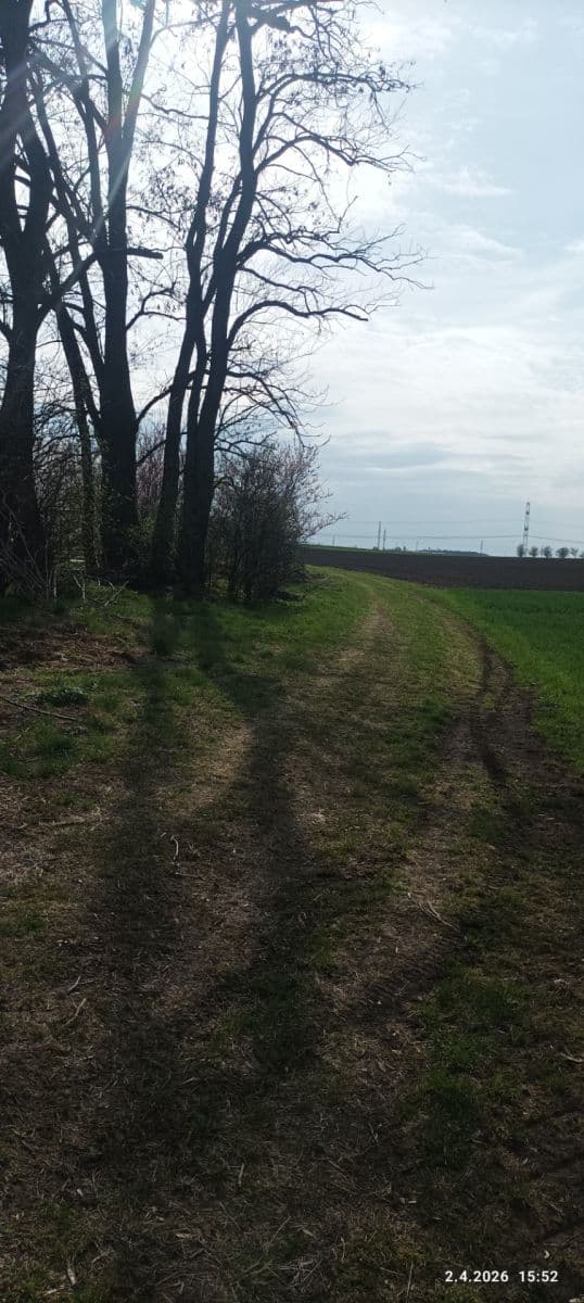 Pronájem pozemku 420 m², Sokolnice, Jihomoravský kraj Pronájem pozemku 420 m², Sokolnice, Jihomoravský kraj