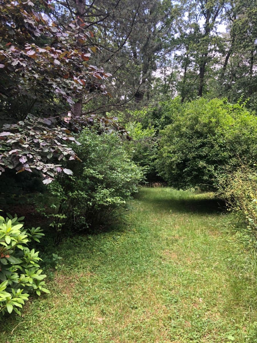 Prodej chaty, chalupy 27 m², pozemek 3.618 m², Votice, Středočeský kraj Prodej chaty, chalupy 27 m², pozemek 3.618 m², Votice, Středočeský kraj