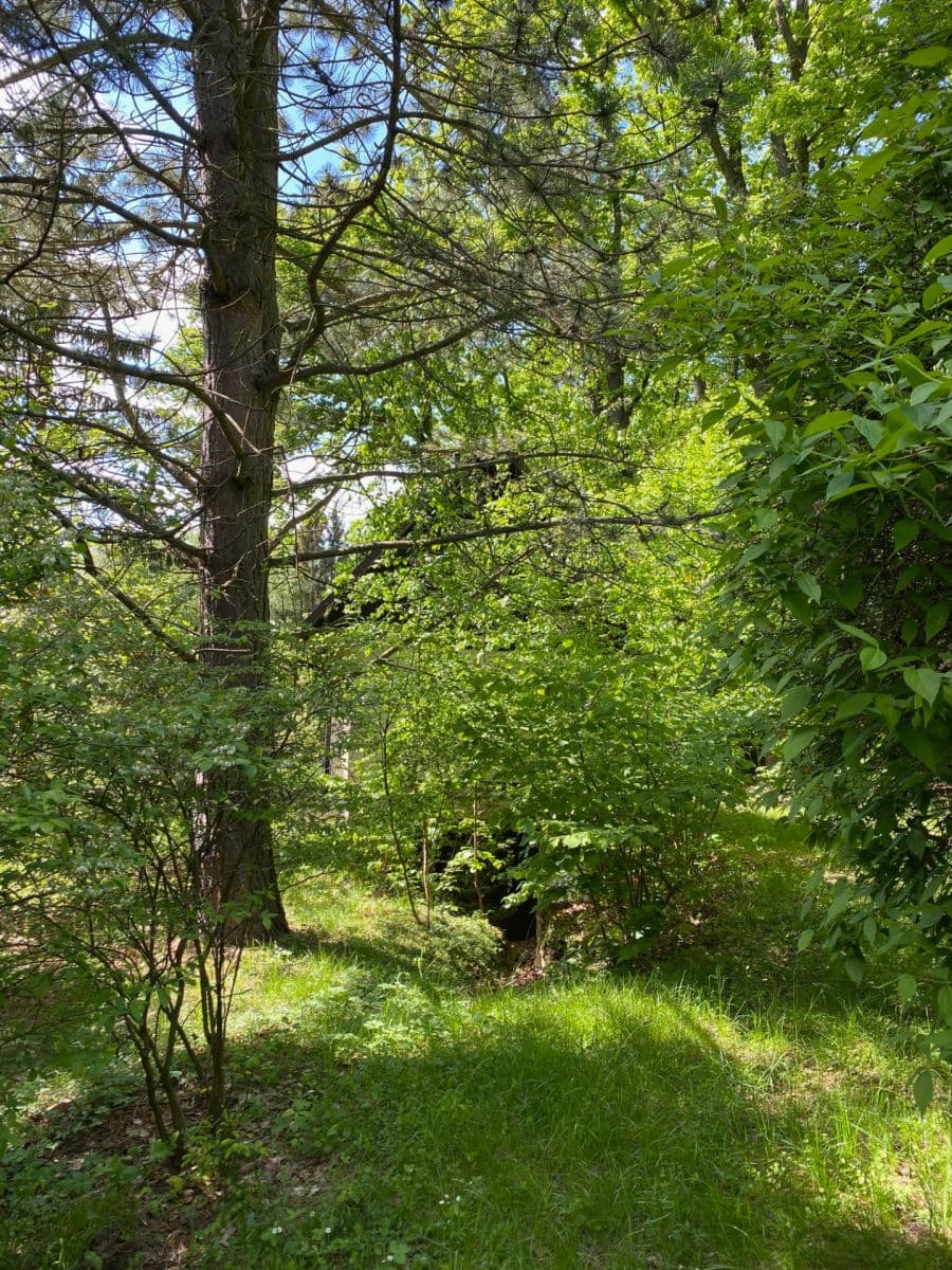 Prodej chaty, chalupy 27 m², pozemek 3.618 m², Votice, Středočeský kraj Prodej chaty, chalupy 27 m², pozemek 3.618 m², Votice, Středočeský kraj