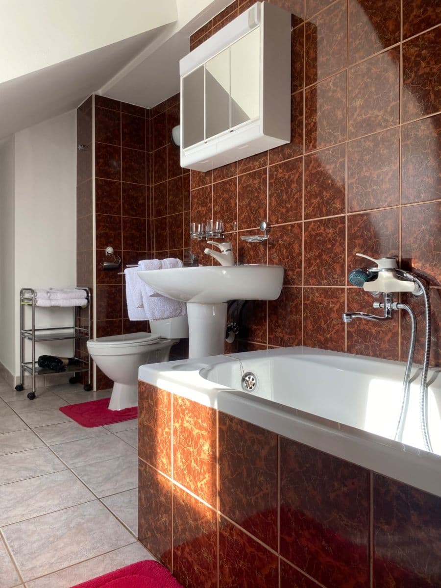 Pronájem bytu 1+kk 40 m², Hradební, Tábor, Jihočeský kraj Pronájem bytu 1+kk 40 m², Hradební, Tábor, Jihočeský kraj