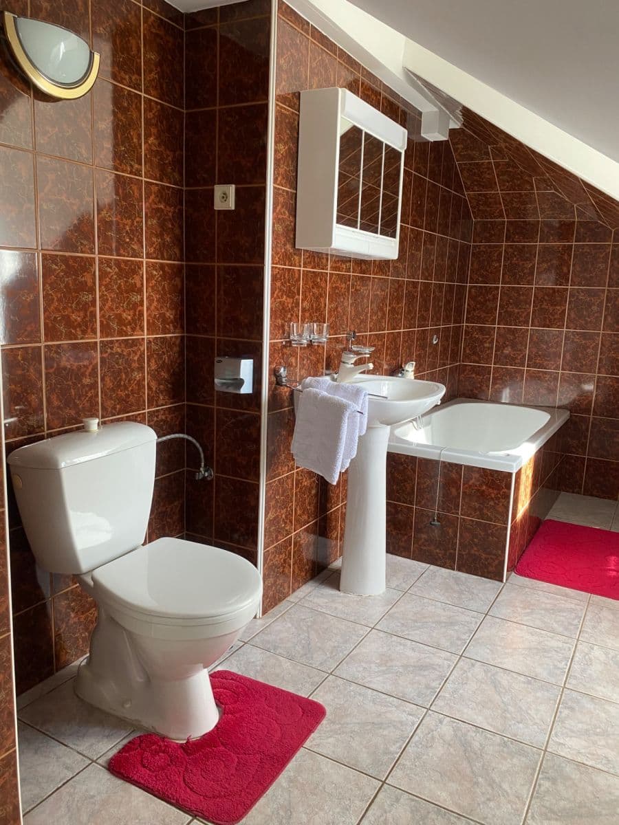 Pronájem bytu 1+kk 40 m², Hradební, Tábor, Jihočeský kraj Pronájem bytu 1+kk 40 m², Hradební, Tábor, Jihočeský kraj