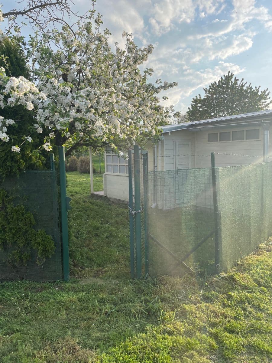 Pronájem pozemku 491 m², Lešany, Olomoucký kraj Pronájem pozemku 491 m², Lešany, Olomoucký kraj