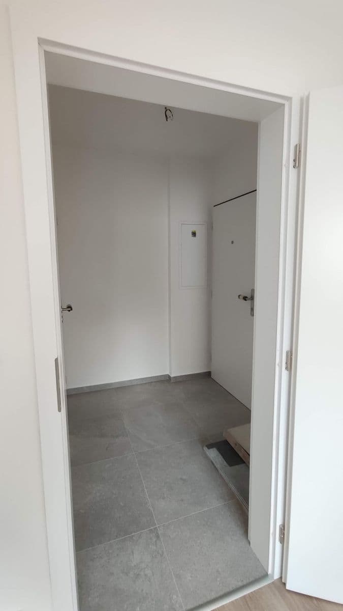 Pronájem bytu 1+kk 27 m², Křenová, Brno, Jihomoravský kraj Pronájem bytu 1+kk 27 m², Křenová, Brno, Jihomoravský kraj