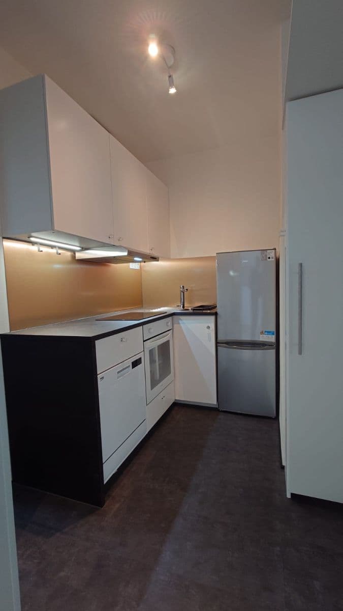 Pronájem bytu 1+kk 29 m², náměstí Míru, Praha, Praha Pronájem bytu 1+kk 29 m², náměstí Míru, Praha, Praha