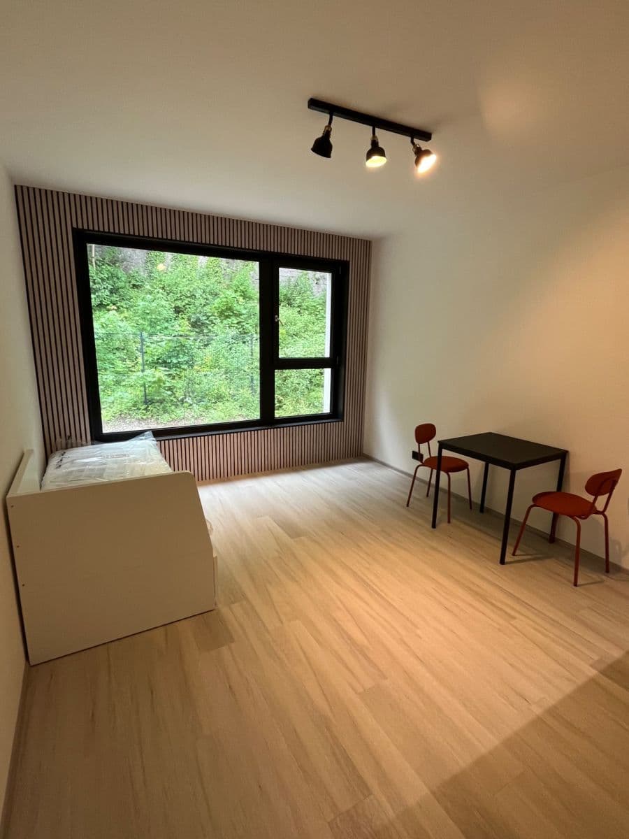 Pronájem bytu 1+kk 26 m², Praha, Praha Pronájem bytu 1+kk 26 m², Praha, Praha