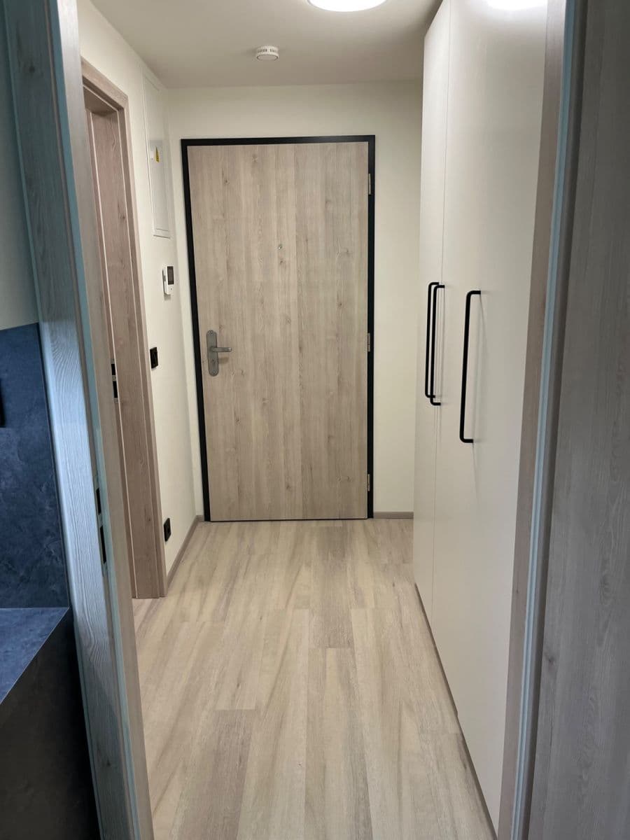 Pronájem bytu 1+kk 26 m², Praha, Praha Pronájem bytu 1+kk 26 m², Praha, Praha
