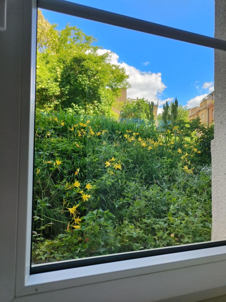 Pronájem bytu 28 m², Branická, Praha, Praha Pronájem bytu 28 m², Branická, Praha, Praha