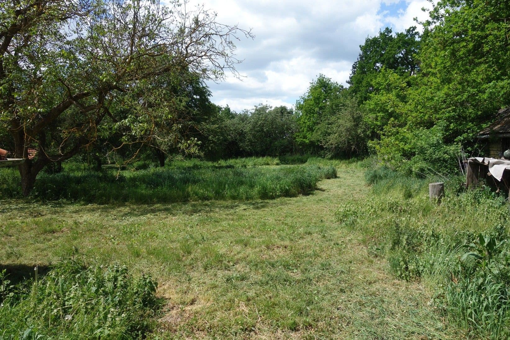 Prodej domu 80 m², pozemek 3.236 m², Hájovna, Chotěšov, Plzeňský kraj Prodej domu 80 m², pozemek 3.236 m², Hájovna, Chotěšov, Plzeňský kraj