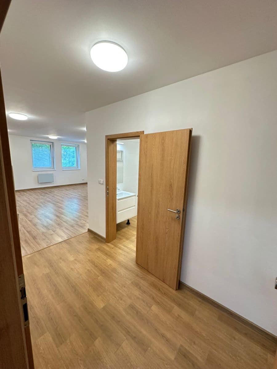 Pronájem bytu 2+1 70 m², Před Ústavem, Praha, Praha Pronájem bytu 2+1 70 m², Před Ústavem, Praha, Praha