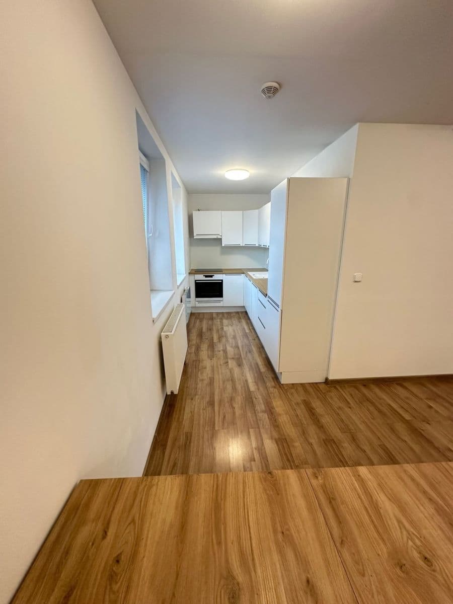 Pronájem bytu 2+1 70 m², Před Ústavem, Praha, Praha Pronájem bytu 2+1 70 m², Před Ústavem, Praha, Praha