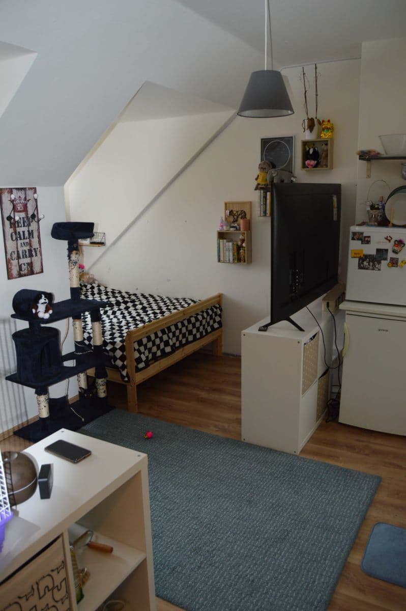 Pronájem bytu 1+kk 27 m², Újezd, Praha, Praha Pronájem bytu 1+kk 27 m², Újezd, Praha, Praha