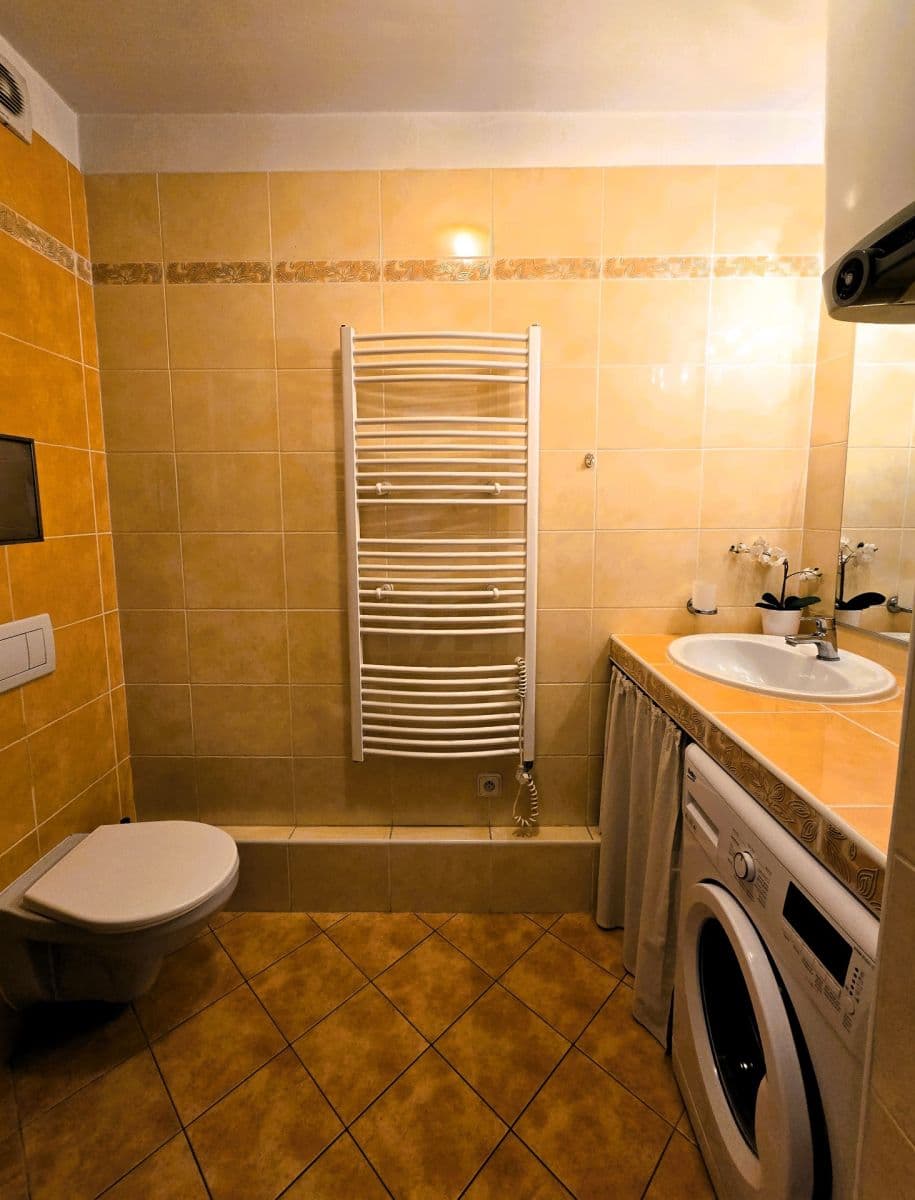 Pronájem bytu 1+kk 25 m², Vánková, Praha, Praha Pronájem bytu 1+kk 25 m², Vánková, Praha, Praha