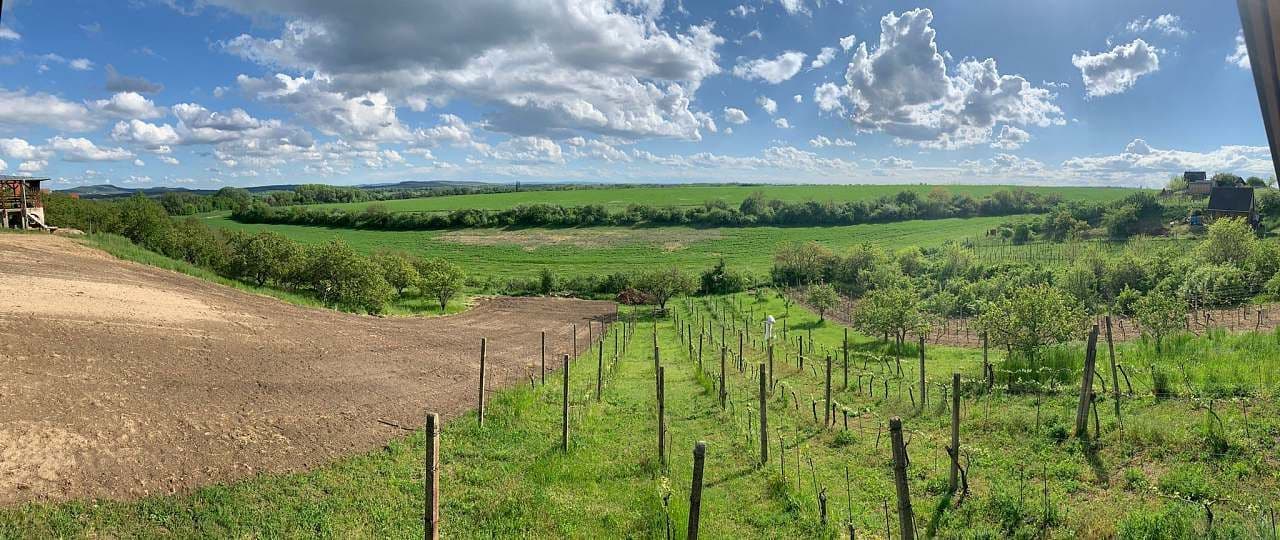 Pronájem chaty, chalupy, Pasohlávky, Jihomoravský kraj Pronájem chaty, chalupy, Pasohlávky, Jihomoravský kraj