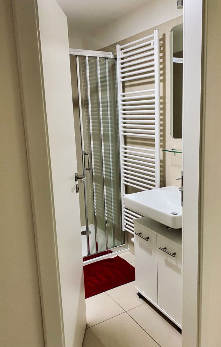 Pronájem bytu 1+kk 32 m², Přadlácká, Brno, Jihomoravský kraj Pronájem bytu 1+kk 32 m², Přadlácká, Brno, Jihomoravský kraj