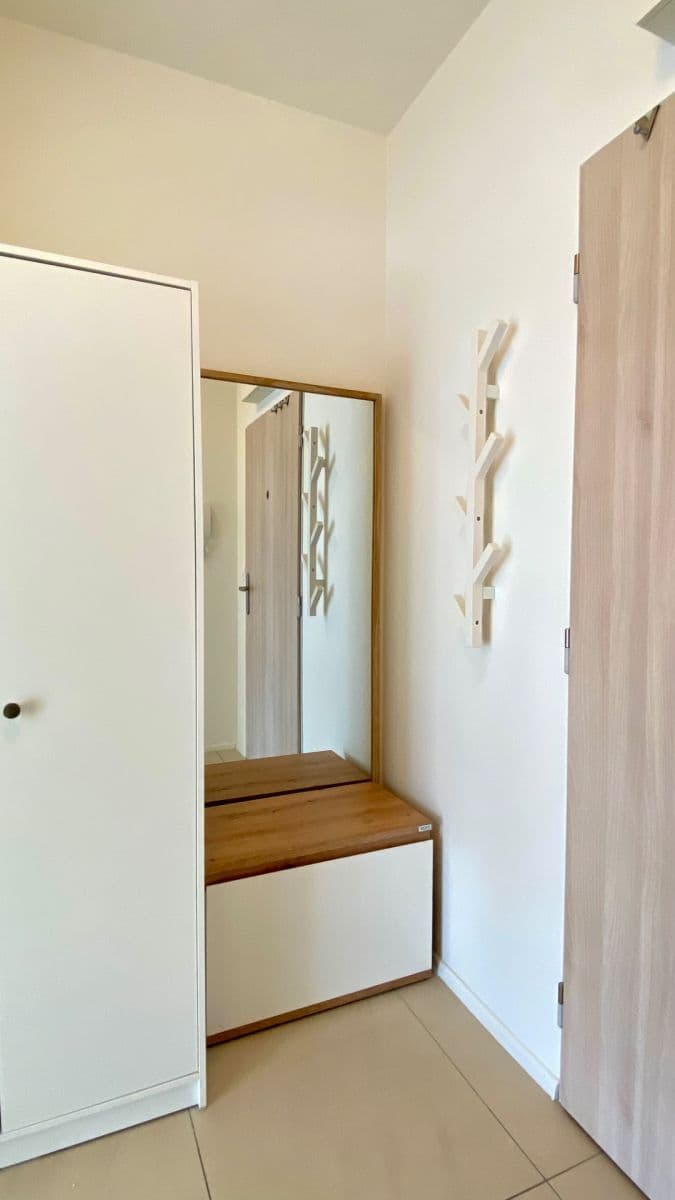 Pronájem bytu 1+kk 32 m², Přadlácká, Brno, Jihomoravský kraj Pronájem bytu 1+kk 32 m², Přadlácká, Brno, Jihomoravský kraj