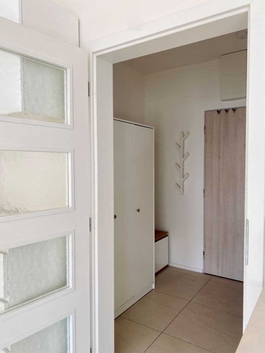 Pronájem bytu 1+kk 32 m², Přadlácká, Brno, Jihomoravský kraj Pronájem bytu 1+kk 32 m², Přadlácká, Brno, Jihomoravský kraj