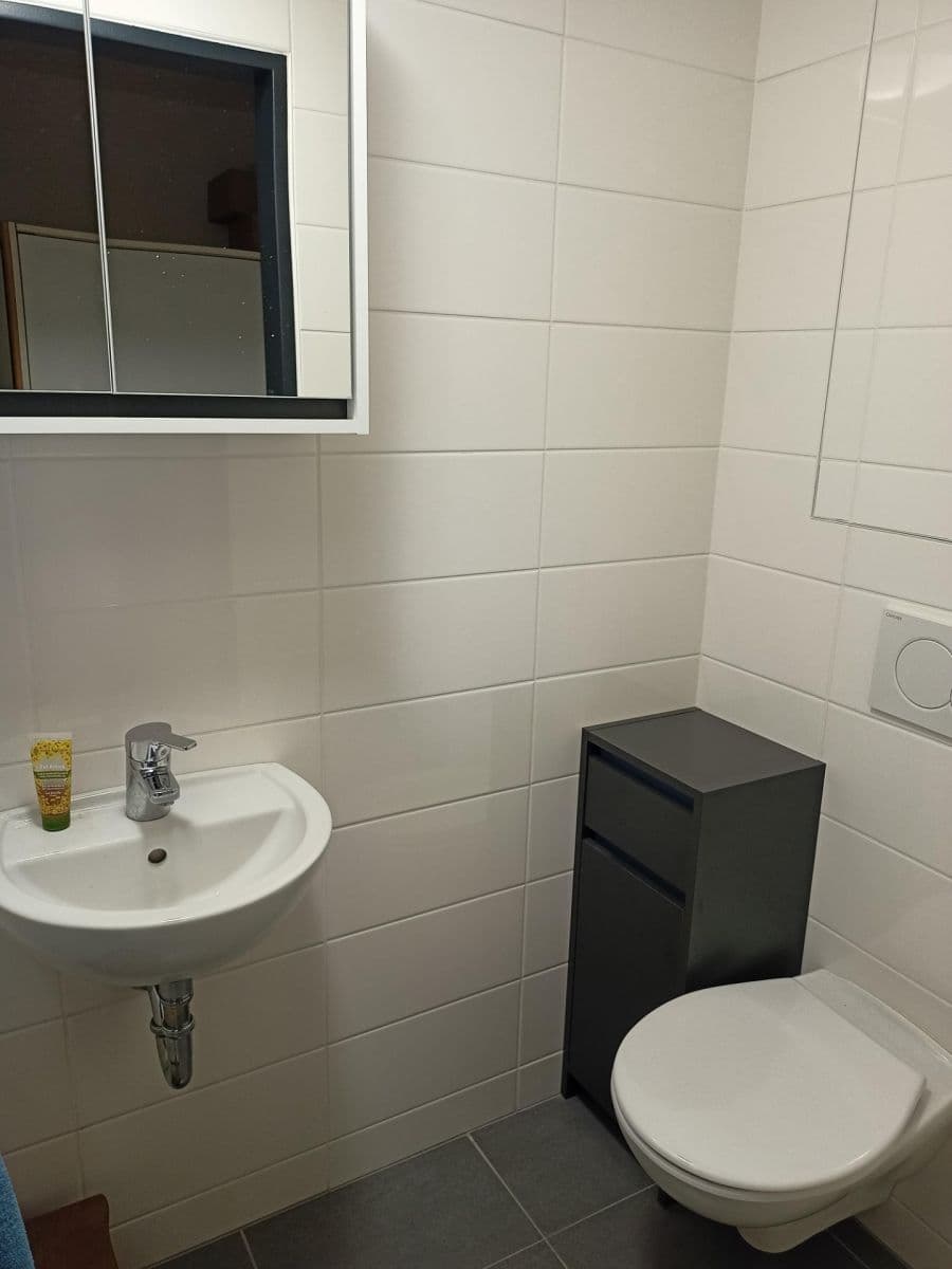 Prodej nebytového prostoru 33 m², Firkušného, Brno, Jihomoravský kraj Prodej nebytového prostoru 33 m², Firkušného, Brno, Jihomoravský kraj