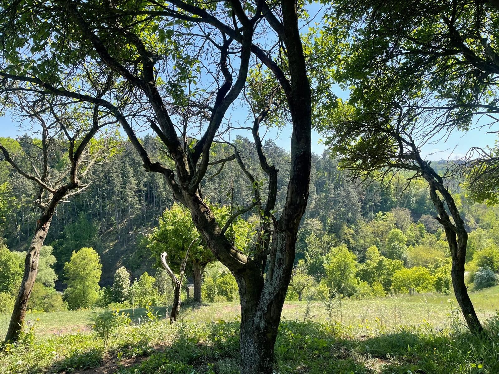 Prodej pozemku 650 m², Liščí, Praha, Praha Prodej pozemku 650 m², Liščí, Praha, Praha