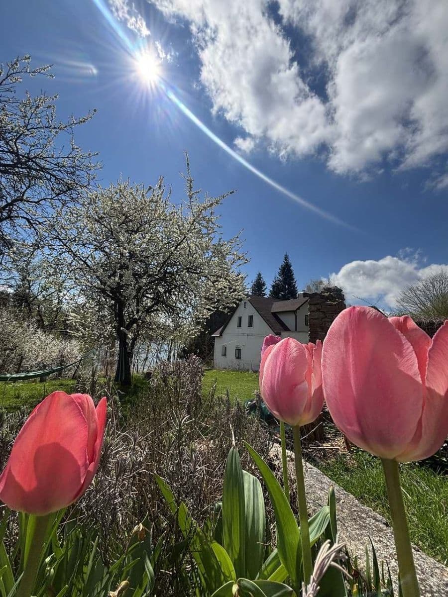 Pronájem chaty, chalupy, Blažejov, Jihočeský kraj Pronájem chaty, chalupy, Blažejov, Jihočeský kraj