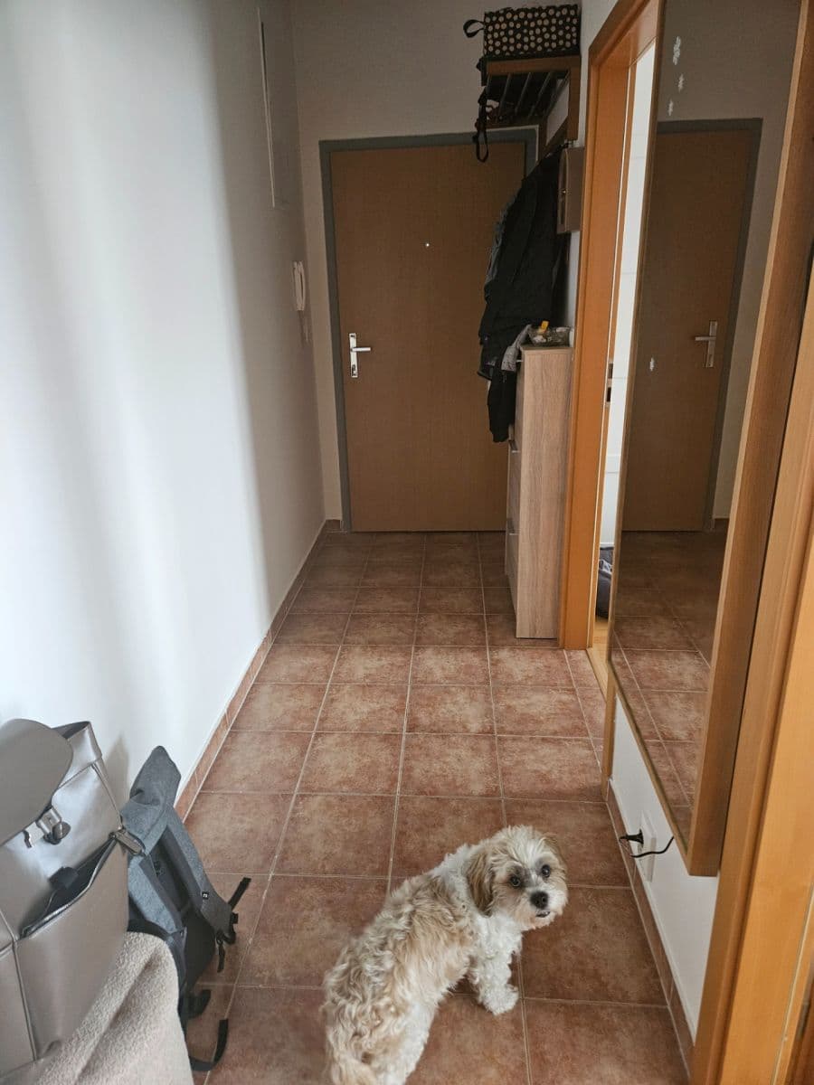 Pronájem bytu 2+kk 50 m², Tupolevova, Praha, Praha Pronájem bytu 2+kk 50 m², Tupolevova, Praha, Praha