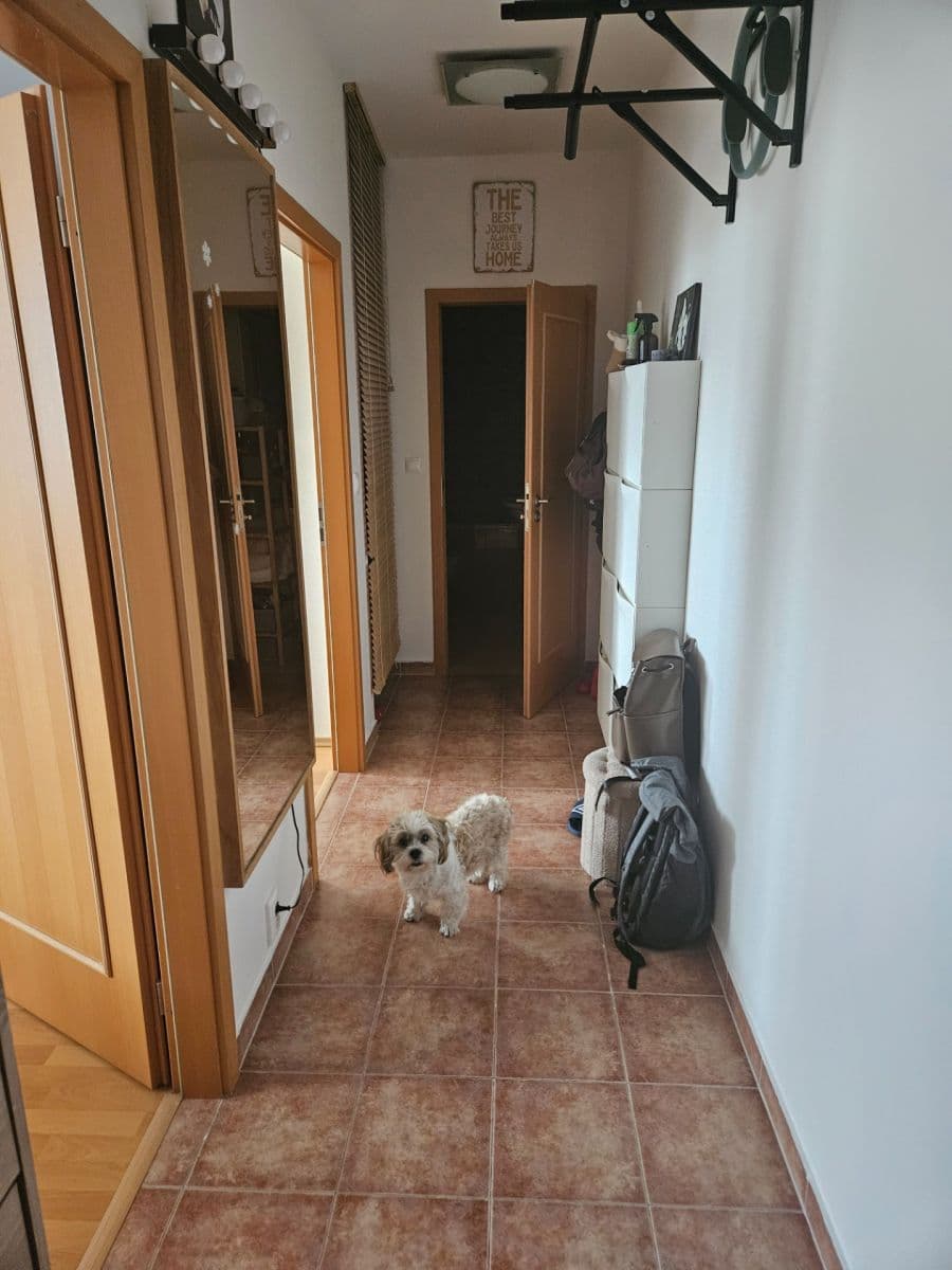 Pronájem bytu 2+kk 50 m², Tupolevova, Praha, Praha Pronájem bytu 2+kk 50 m², Tupolevova, Praha, Praha
