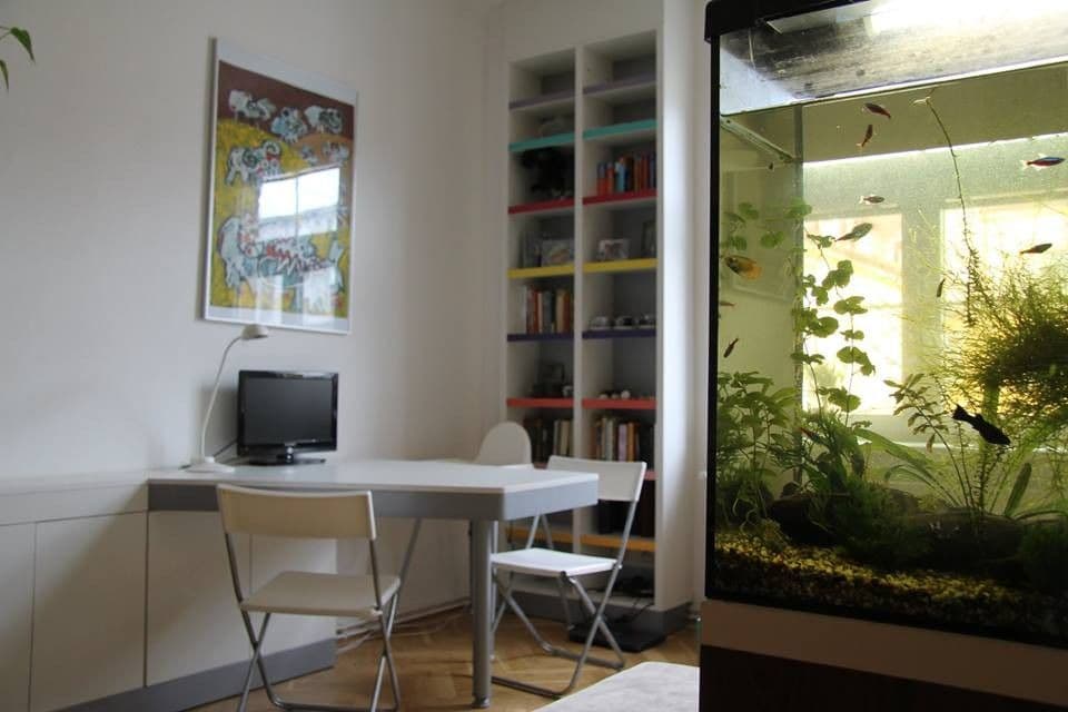 Pronájem bytu 2+kk 42 m², Buchovcova, Praha, Praha Pronájem bytu 2+kk 42 m², Buchovcova, Praha, Praha