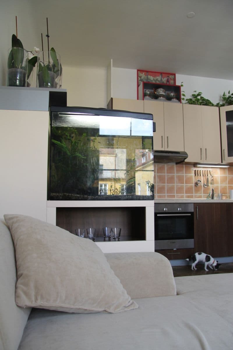 Pronájem bytu 2+kk 42 m², Buchovcova, Praha, Praha Pronájem bytu 2+kk 42 m², Buchovcova, Praha, Praha