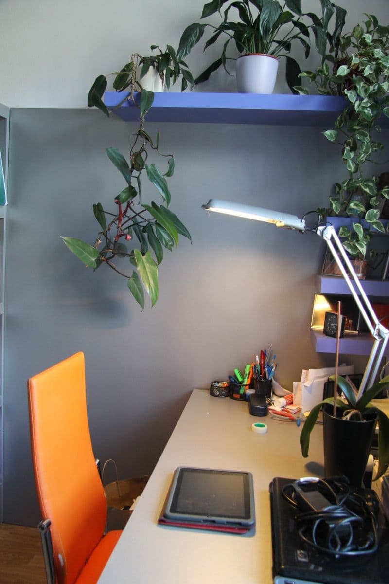 Pronájem bytu 2+kk 42 m², Buchovcova, Praha, Praha Pronájem bytu 2+kk 42 m², Buchovcova, Praha, Praha