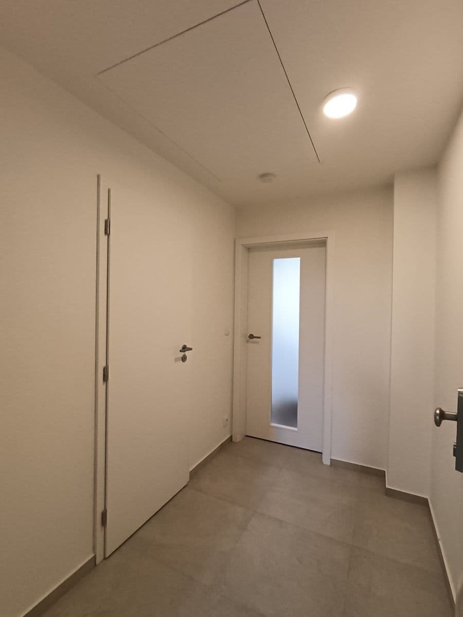 Pronájem bytu 1+kk 26 m², Křenová, Brno, Jihomoravský kraj Pronájem bytu 1+kk 26 m², Křenová, Brno, Jihomoravský kraj